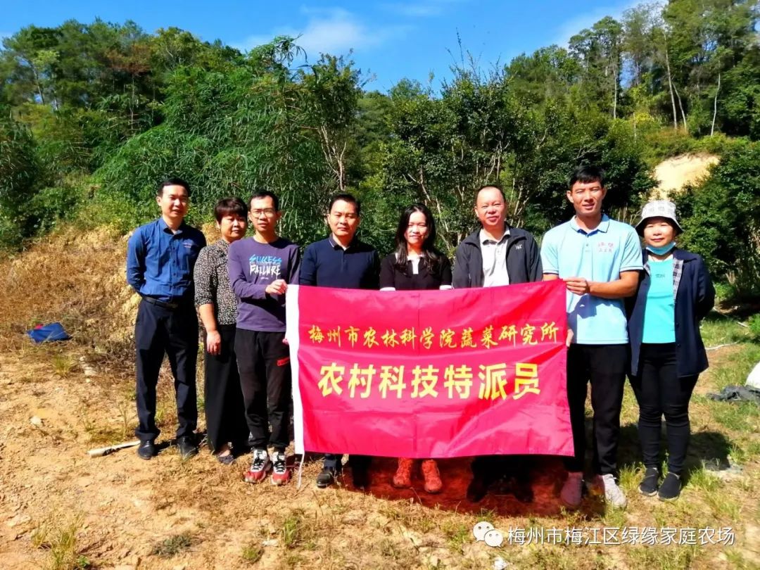 近日，梅州市长沙镇副镇长谢苑同志一行与梅州市农林科学院专家们前往长沙绿缘家庭农场考察