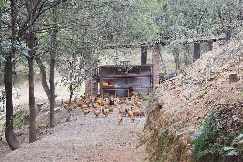 养殖基地